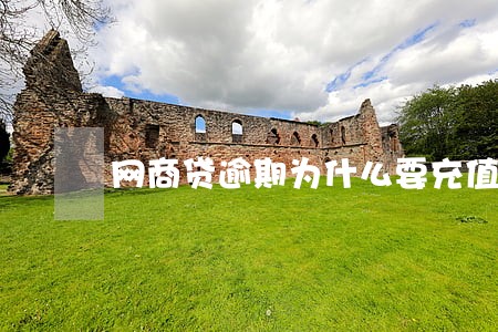网商贷逾期为什么要充值 网商贷逾期为什么要充值