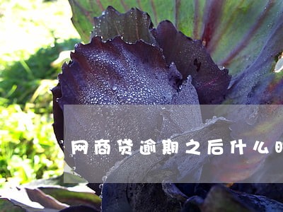 网商贷逾期之后什么时候扣费 网商贷逾期之后什么时候扣费