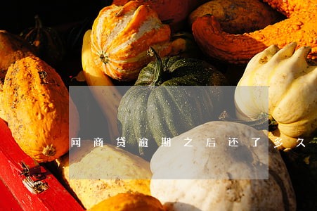 网商贷逾期之后还了多久才能用