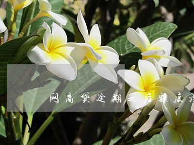 网商贷逾期之后额度没有