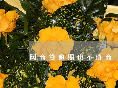 网商贷逾期也不协商 网商贷逾期也不协商