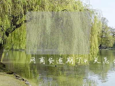 网商贷逾期了4天怎么办 网商贷逾期了4天怎么办