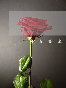 网商贷逾期了一个星期 网商贷逾期了一个星期