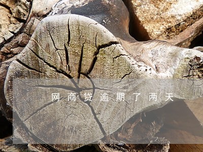 网商贷逾期了两天 网商贷逾期了两天