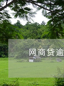 网商贷逾期了五天才还 网商贷逾期了五天才还