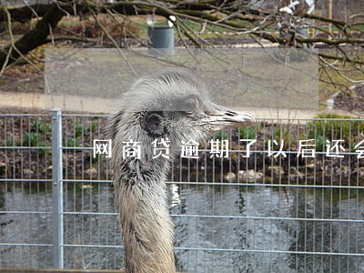 网商贷逾期了以后还会自动扣款吗 网商贷逾期了以后还会自动扣款吗
