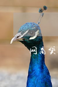 网商贷逾期了会有什么后果 网商贷逾期了会有什么后果
