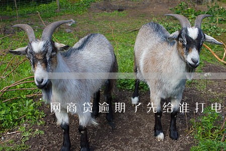 网商贷逾期了先给谁打电话 网商贷逾期了先给谁打电话