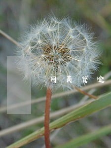网商贷逾期了几天会打电话吗 网商贷逾期了几天会打电话吗