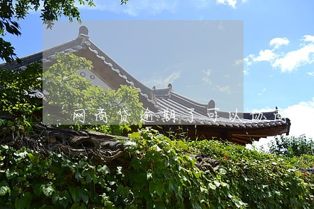 网商贷逾期了可以协商还款吗 网商贷逾期了可以协商还款吗