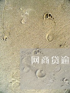 网商贷逾期了可以坐高铁吗 网商贷逾期了可以坐高铁吗