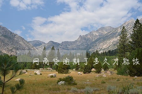 网商贷逾期了多久才能恢复 网商贷逾期了多久才能恢复