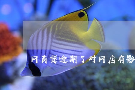 网商贷逾期了对网店有影响吗 网商贷逾期了对网店有影响吗