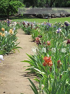 网商贷逾期了影响车贷吗