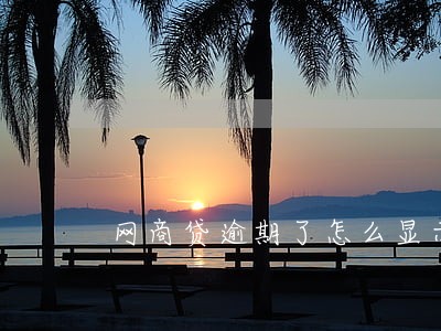 网商贷逾期了怎么显示还有额度 网商贷逾期了怎么显示还有额度