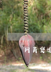 网商贷逾期了怎么没有金额 网商贷逾期了怎么没有金额