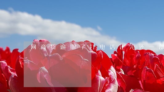 网商贷逾期了打电话让先还一部分