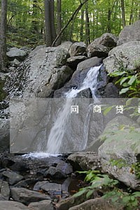 网商贷逾期了是从哪里扣款