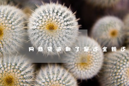 网商贷逾期了是还全额还是分期