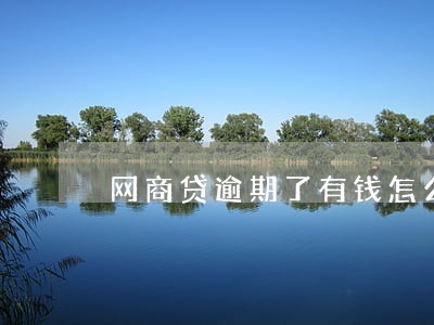 网商贷逾期了有钱怎么还 网商贷逾期了有钱怎么还