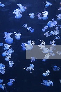 网商贷逾期了私人电话打过来 网商贷逾期了私人电话打过来