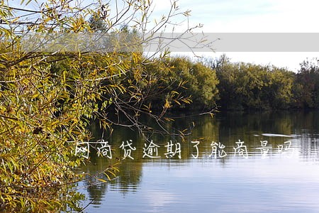 网商贷逾期了能商量吗 网商贷逾期了能商量吗