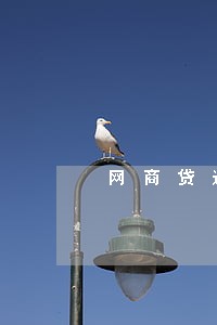 网商贷逾期了花呗可以用吗 网商贷逾期了花呗可以用吗