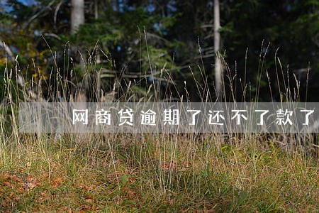 网商贷逾期了还不了款了怎么办 网商贷逾期了还不了款了怎么办