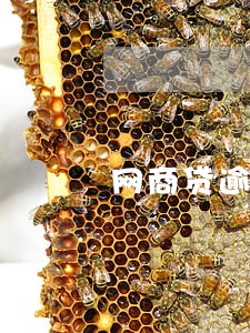 网商贷逾期了还了又涨额度 网商贷逾期了还了又涨额度