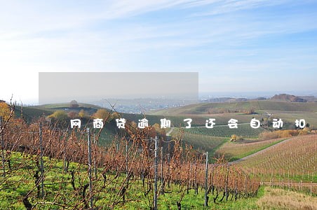 网商贷逾期了还会自动扣款吗 网商贷逾期了还会自动扣款吗