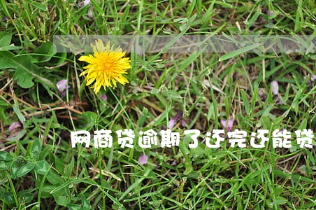 网商贷逾期了还完还能贷吗 网商贷逾期了还完还能贷吗