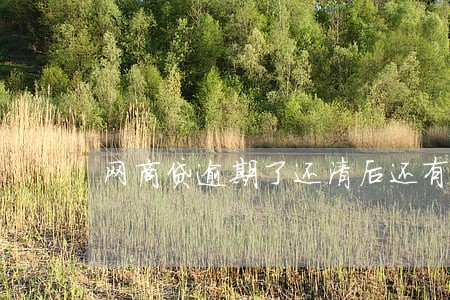 网商贷逾期了还清后还有额度吗 网商贷逾期了还清后还有额度吗