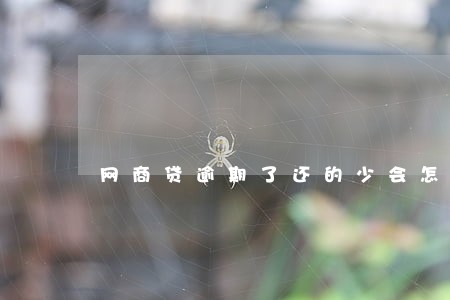 网商贷逾期了还的少会怎么样 网商贷逾期了还的少会怎么样