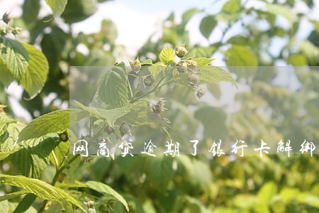网商贷逾期了银行卡解绑 网商贷逾期了银行卡解绑
