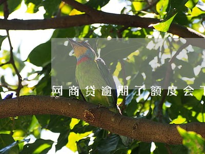 网商贷逾期了额度会下降吗