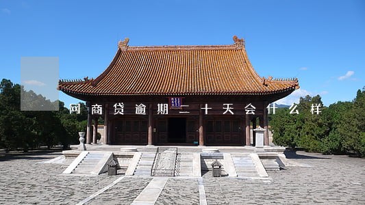 网商贷逾期二十天会什么样 网商贷逾期二十天会什么样