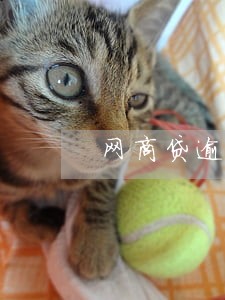 网商贷逾期五个月4800多 网商贷逾期五个月4800多