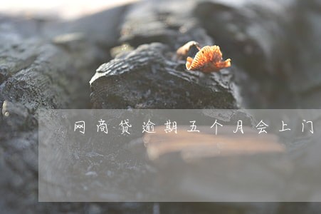 网商贷逾期五个月会上门吗 网商贷逾期五个月会上门吗