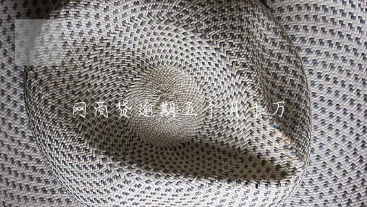 网商贷逾期五个月十万