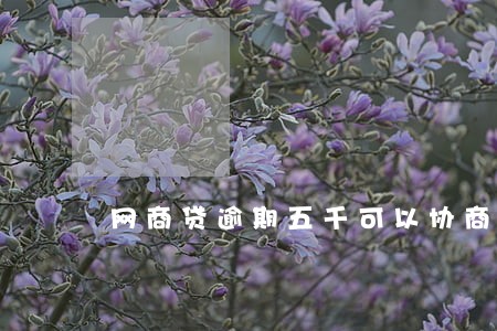 网商贷逾期五千可以协商吗 网商贷逾期五千可以协商吗