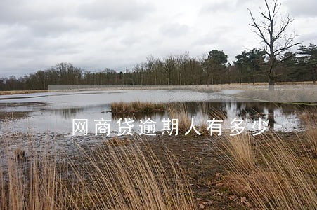 网商贷逾期人有多少 网商贷逾期人有多少