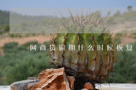 网商贷逾期什么时候恢复 网商贷逾期什么时候恢复