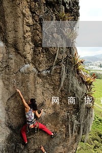 网商贷逾期什么结果