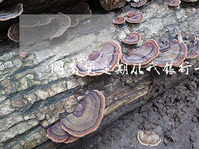网商贷逾期从我银行卡里扣钱 网商贷逾期从我银行卡里扣钱