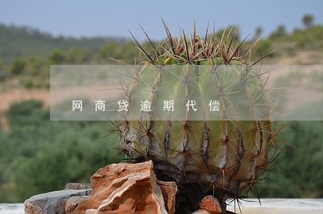 网商贷逾期代偿 网商贷逾期代偿