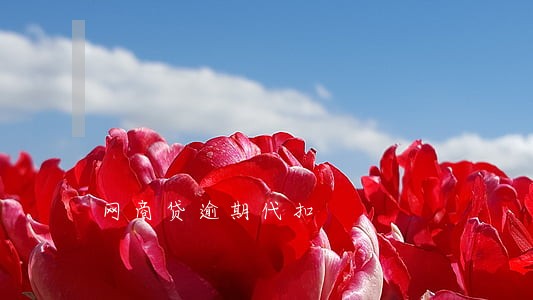 网商贷逾期代扣