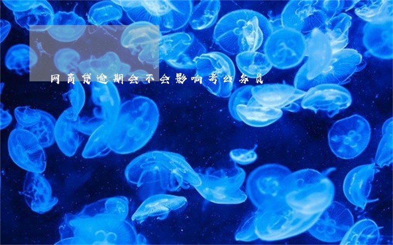 网商贷逾期会不会影响考公务员 网商贷逾期会不会影响考公务员