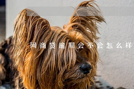 网商贷逾期会不会怎么样 网商贷逾期会不会怎么样