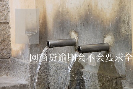 网商贷逾期会不会要求全部还款 网商贷逾期会不会要求全部还款