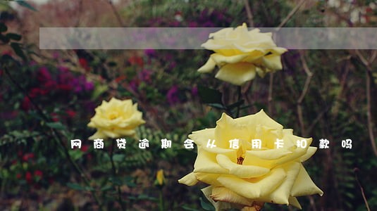 网商贷逾期会从信用卡扣款吗